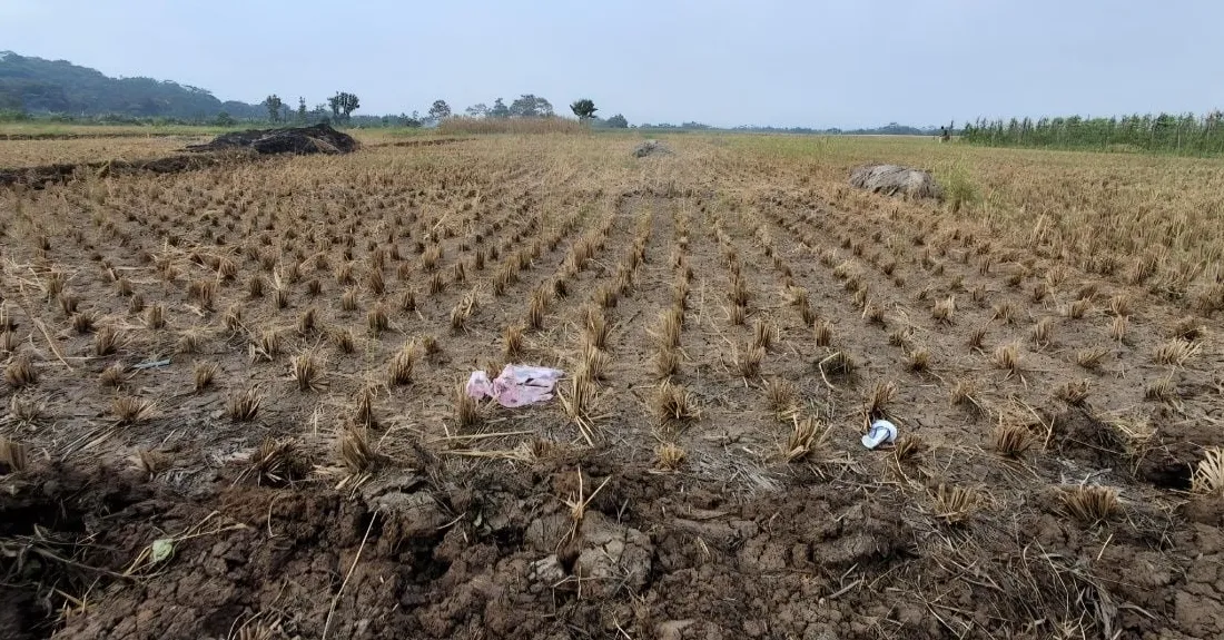 Bandung Barat Siaga El Nino 2026, Air Jadi Penentu Nasib Ketahanan Pangan
