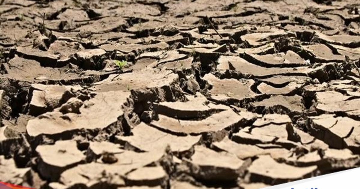 Ilustrasi kekeringan dampak El Nino dengan tanah retak dan pohon kering