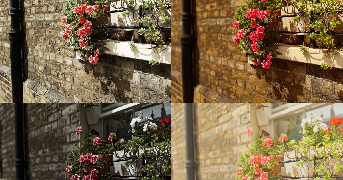Sony Xperia 1 VIII dengan AI Camera Assistant di viewfinder