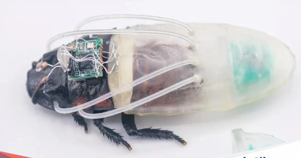 Kecoa cyborg dengan baju selam mini hasil cetak 3D untuk bertahan di air